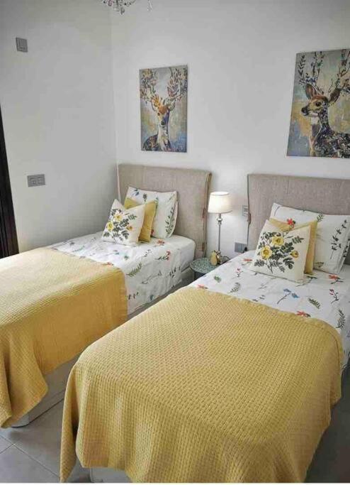 Bahia Homes Торрев'єха Екстер'єр фото